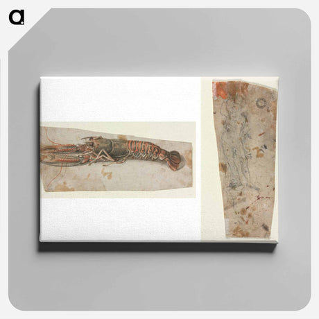 アートパネル-Lobster and Armoured Figure
 - クリーブランド美術館 Canvas.