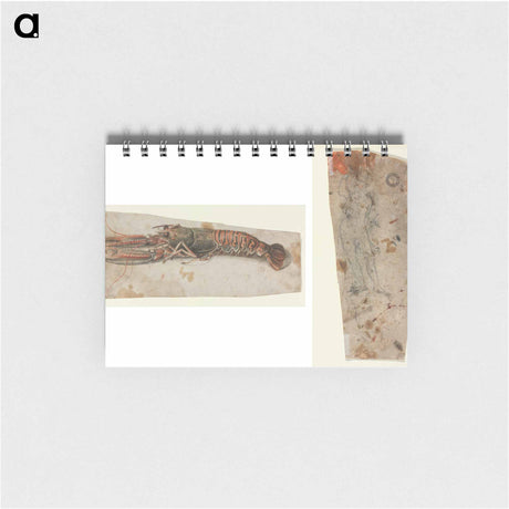 アートメモ帳-Lobster and Armoured Figure
 - クリーブランド美術館 Memo.