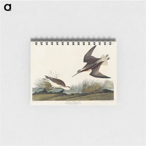 アートメモ帳-Wilson's Phalarope
 - ジョン ジェームス オーデュボン Memo.
