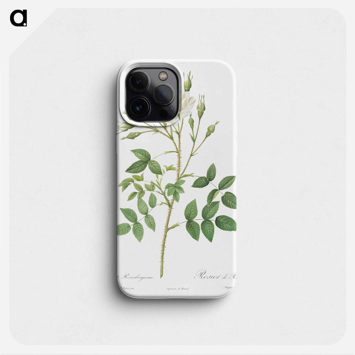 Rose of Rosenberg - ピエール ジョゼフ ルドゥーテ Phone Case.