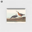 アートメモ帳-Red-breasted Snipe from Birds of America
 - アメリカの鳥たち Memo.