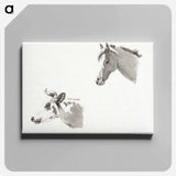 アートパネル-Head of a horse and the head of a cow - ジャン ベルナール Canvas.