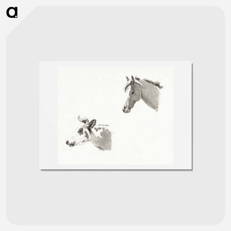 アートポストカード-Head of a horse and the head of a cow - ジャン ベルナール Postcard.