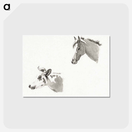 アートポストカード-Head of a horse and the head of a cow - ジャン ベルナール Postcard.