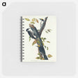 アートメモ帳-Three-toed Woodpecker from Birds of America
 - アメリカの鳥たち Memo.