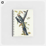 アートメモ帳-Three-toed Woodpecker from Birds of America
 - アメリカの鳥たち Memo.