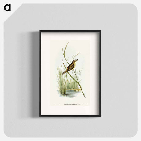 アートポスター-Reed Warbler
 - オーストラリアの鳥 Poster.