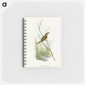 アートメモ帳-Reed Warbler
 - オーストラリアの鳥 Memo.