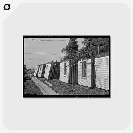 アートポストカード-House Plant
 - ラッセル リー Postcard.