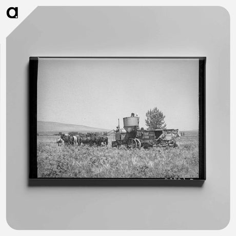 アートパネル-Horse-Drawn Combine
 - ラッセル リー Canvas.