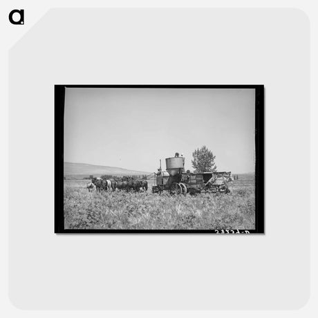 アートポストカード-Horse-Drawn Combine
 - ラッセル リー Postcard.
