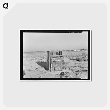 アートポストカード-Flood Organ
 - ラッセル リー Postcard.