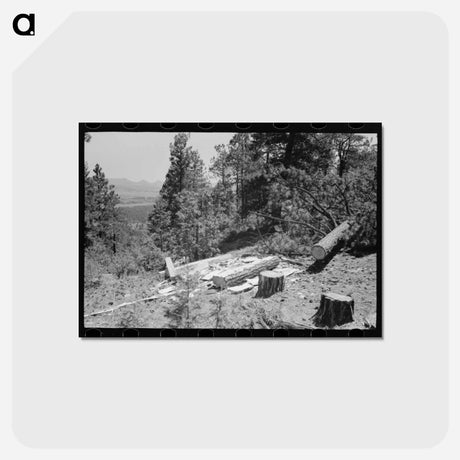 アートポストカード-Hewn Ties, Pie Town
 - ラッセル リー Postcard.