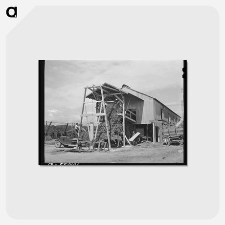 アートポストカード-Mechanical Hop Picker
 - ラッセル リー Postcard.