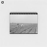 アートメモ帳-Mexican Carrot Workers
 - ラッセル リー Memo.