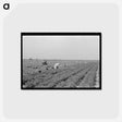 アートポストカード-Mexican Carrot Workers
 - ラッセル リー Postcard.
