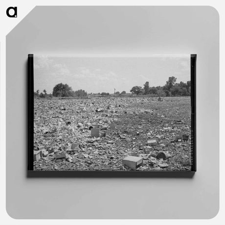 アートパネル-Mays Avenue Camp
 - ラッセル リー Canvas.