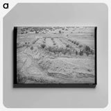 アートパネル-Chamisal Orchard
 - ラッセル リー Canvas.