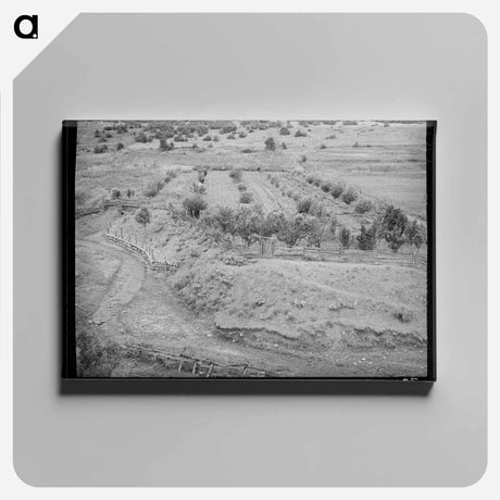 アートパネル-Chamisal Orchard
 - ラッセル リー Canvas.
