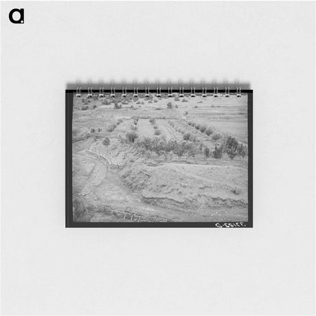 アートメモ帳-Chamisal Orchard
 - ラッセル リー Memo.