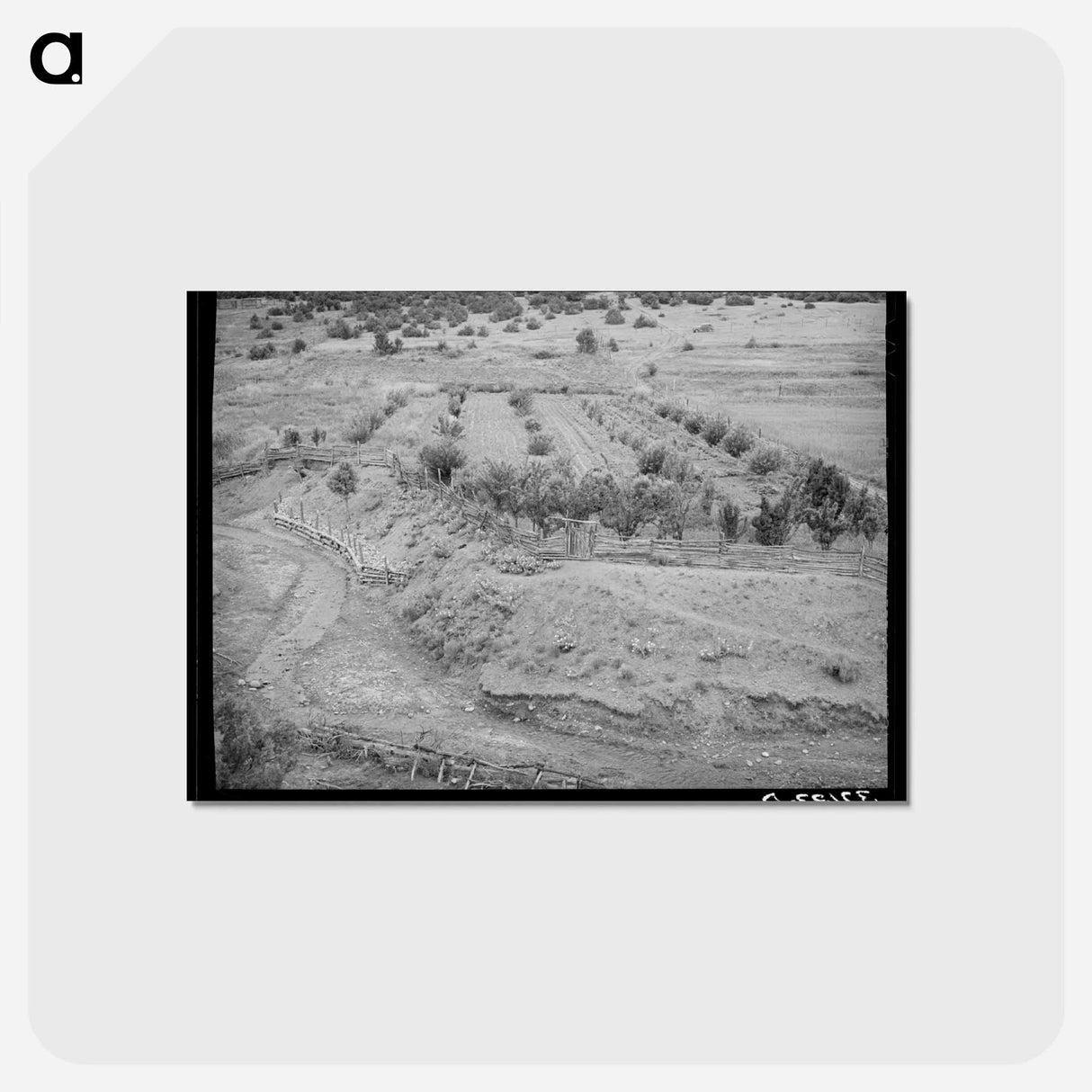 アートポストカード-Chamisal Orchard
 - ラッセル リー Postcard.