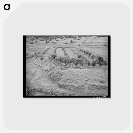 アートポストカード-Chamisal Orchard
 - ラッセル リー Postcard.