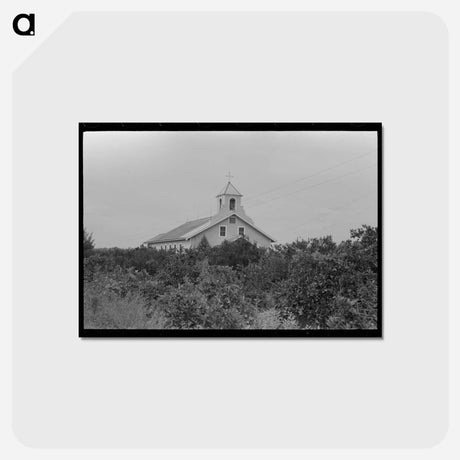 アートポストカード-Church in the Orange Growing Section, Boothville, Louisiana
 - ラッセル リー Postcard.