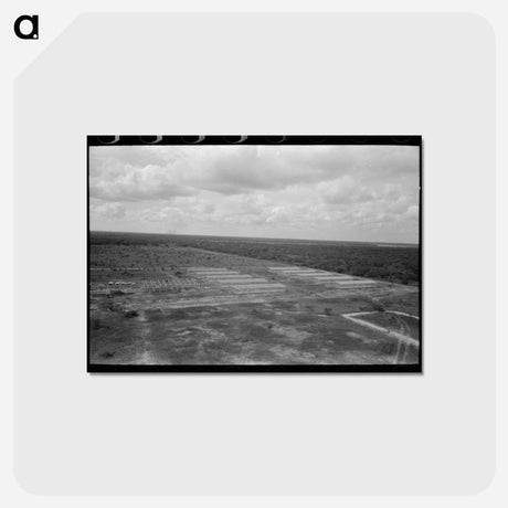 アートポストカード-Migrant Camp Under Construction
 - ラッセル リー Postcard.