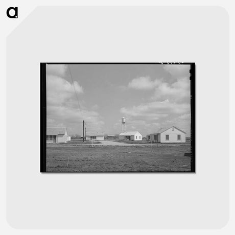アートポストカード-Migratory Labor Camp Houses
 - ラッセル リー Postcard.