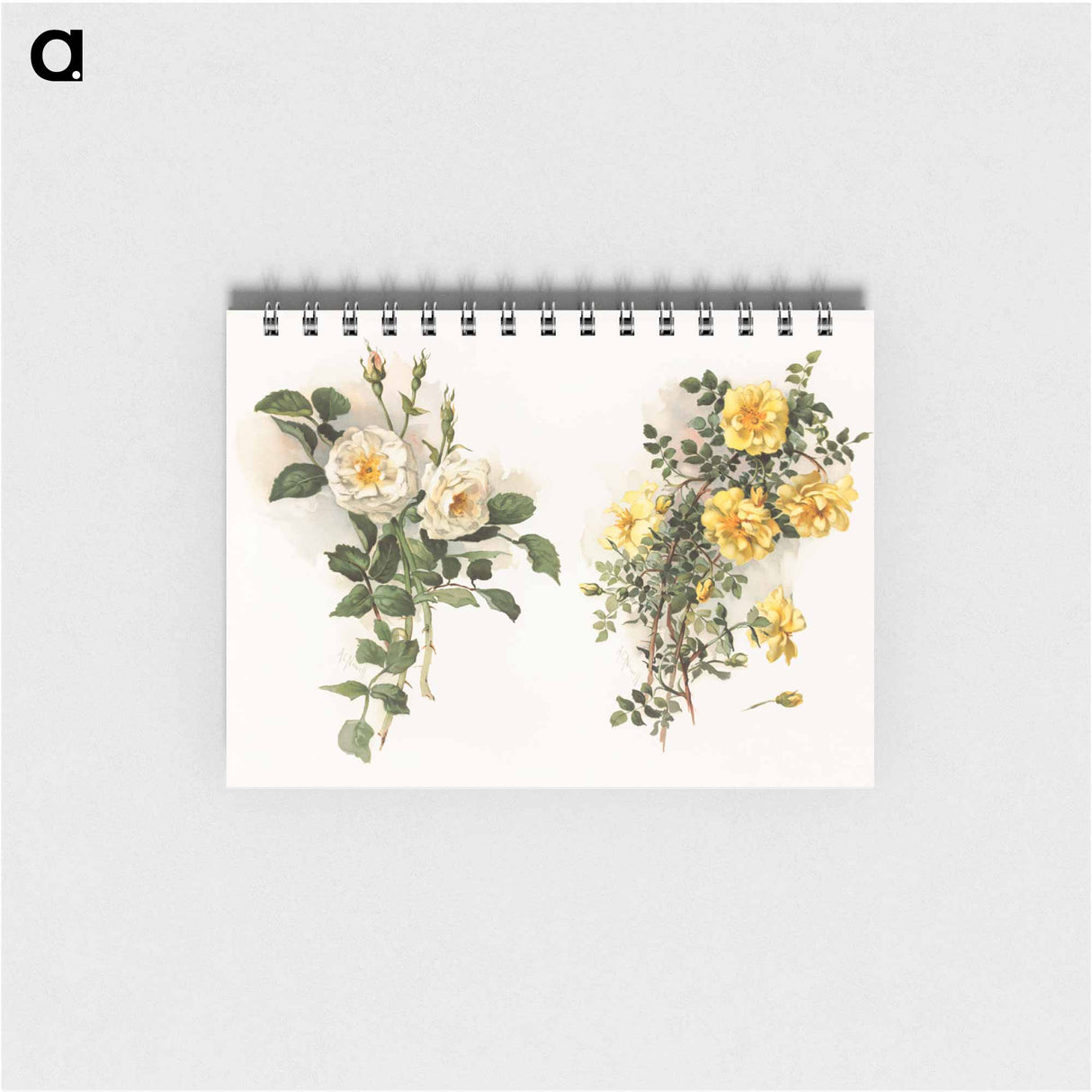 アートメモ帳-Yellow Roses
 - ボストン公共図書館 Memo.