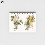 アートメモ帳-Yellow Roses
 - ボストン公共図書館 Memo.