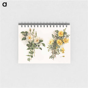 アートメモ帳-Yellow Roses
 - ボストン公共図書館 Memo.
