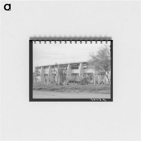 アートメモ帳-Arizona Part-Time Farms
 - ラッセル リー Memo.