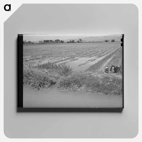 アートパネル-Irrigated Cotton Field
 - ラッセル リー Canvas.