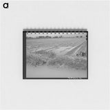 アートメモ帳-Irrigated Cotton Field
 - ラッセル リー Memo.