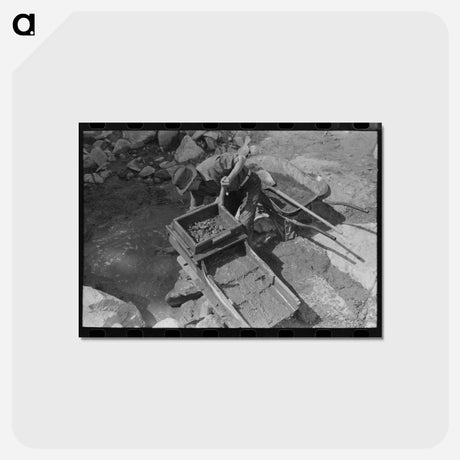 アートポストカード-Gold Prospector's Rocker
 - ラッセル リー Postcard.