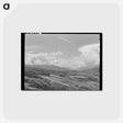 アートポストカード-Wheat Lands
 - ラッセル リー Postcard.