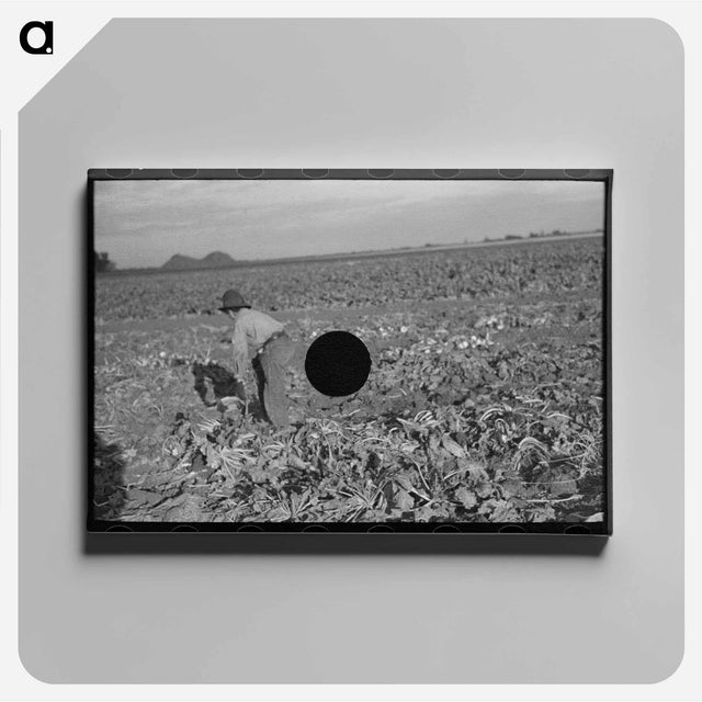 アートパネル-Topping Sugar Beets
 - ラッセル リー Canvas.