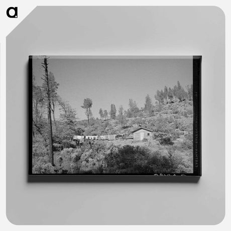 アートパネル-Shasta Dam Workers' Homes
 - ラッセル リー Canvas.