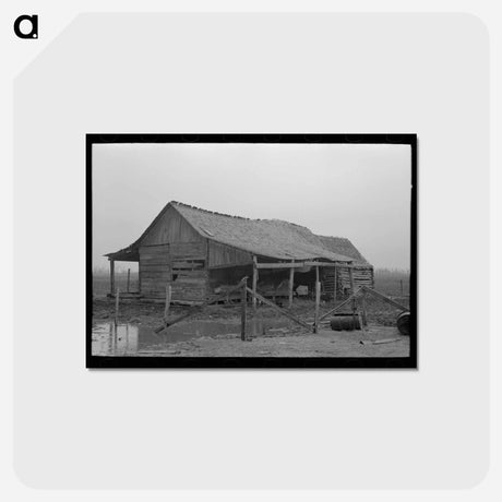 アートポストカード-Sharecropper's Barn
 - ラッセル リー Postcard.
