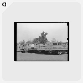 アートポストカード-Wells, Texas School Bus Lineup
 - ラッセル リー Postcard.