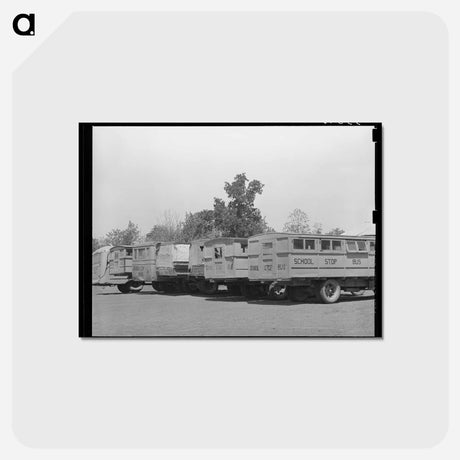アートポストカード-Wells, Texas School Bus Lineup
 - ラッセル リー Postcard.