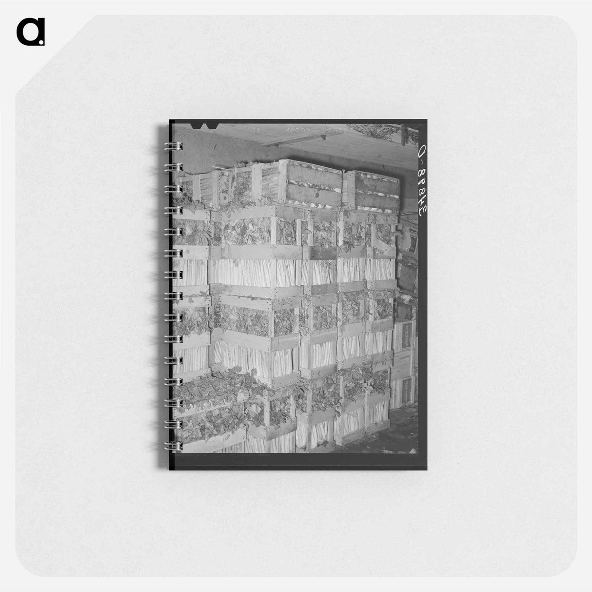 アートメモ帳-Celery Crates
 - ラッセル リー Memo.