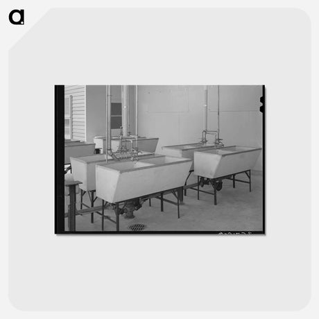 アートポストカード-Laundry Tubs at Sinton
 - ラッセル リー Postcard.