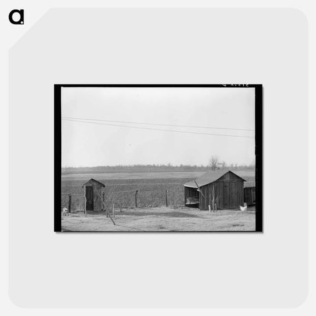 アートポストカード-Farmyard near Chicot, Arkansas
 - ラッセル リー Postcard.