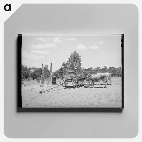 アートパネル-Farm Scene, Pie Town
 - ラッセル リー Canvas.