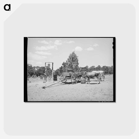 アートポストカード-Farm Scene, Pie Town
 - ラッセル リー Postcard.