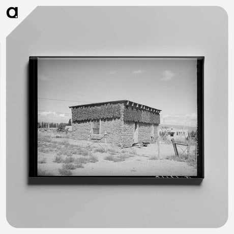 アートパネル-Chile Peppers, Concho
 - ラッセル リー Canvas.