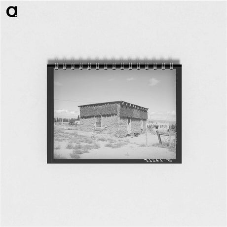 アートメモ帳-Chile Peppers, Concho
 - ラッセル リー Memo.