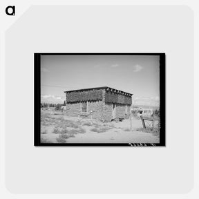 アートポストカード-Chile Peppers, Concho
 - ラッセル リー Postcard.